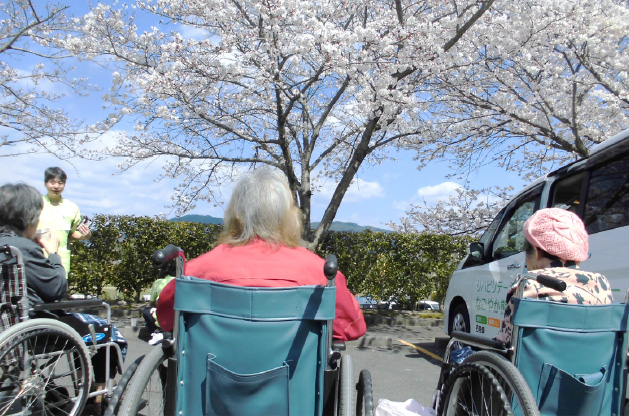 画像：花見の様子